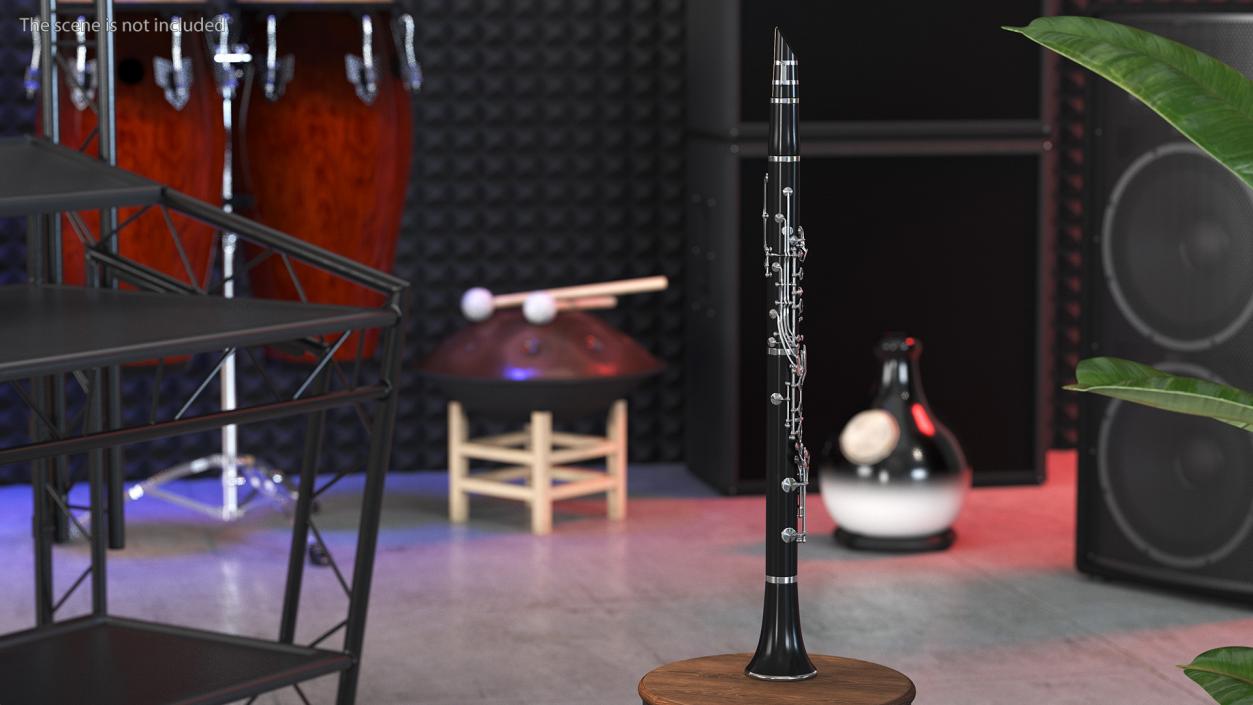 3D model Clarinet With Silver Keys