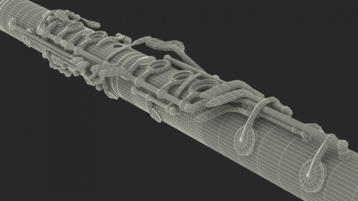 3D model Clarinet With Silver Keys