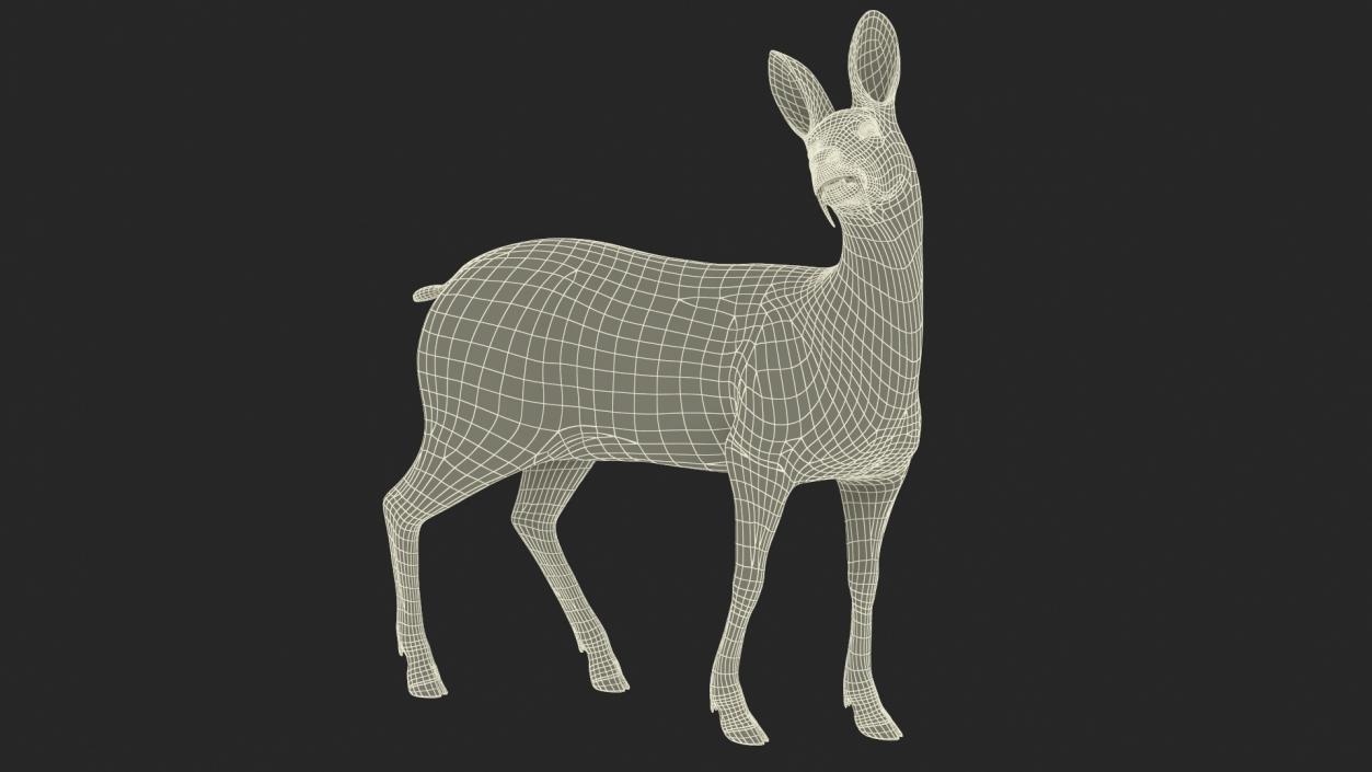 3D model Musk Deer Rigged Fur