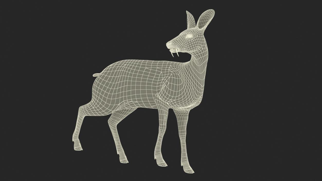 3D model Musk Deer Rigged Fur