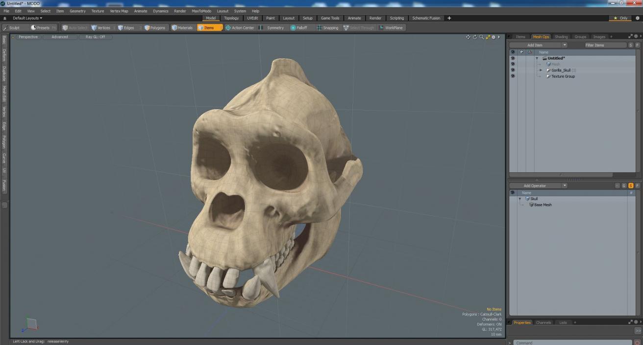 3D Gorilla Skull model