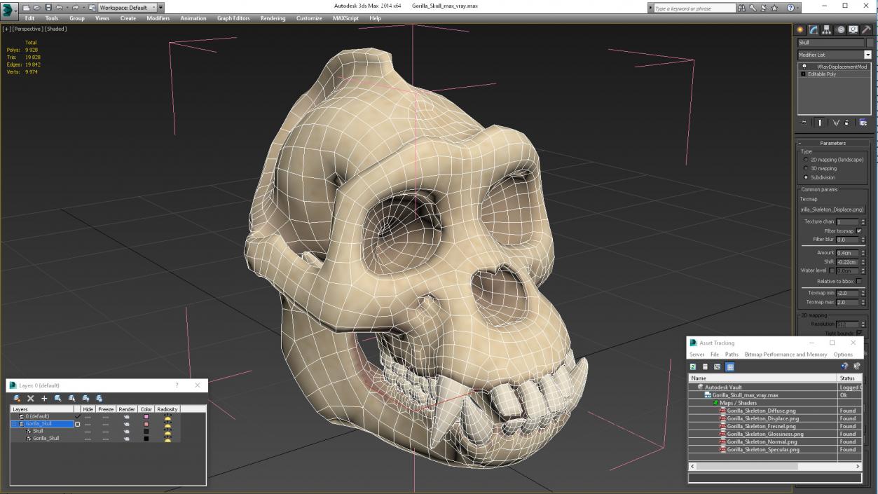 3D Gorilla Skull model