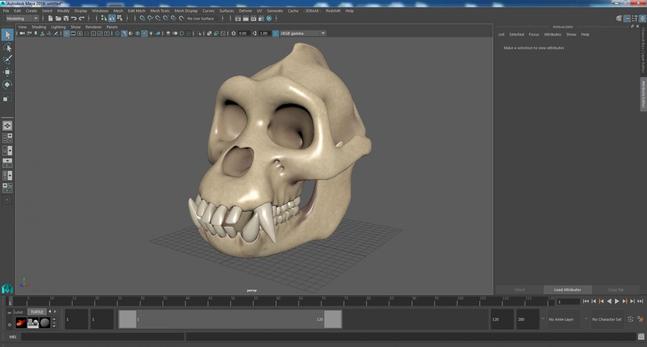 3D Gorilla Skull model