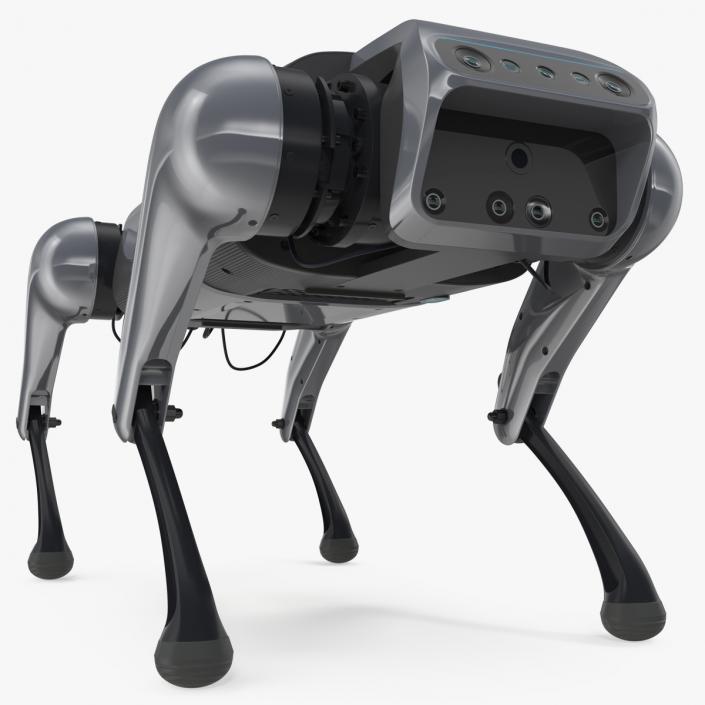 3D model Cyberdog