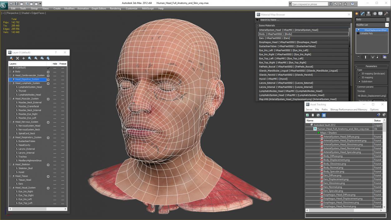 Human Head Full Anatomy and Skin 3D