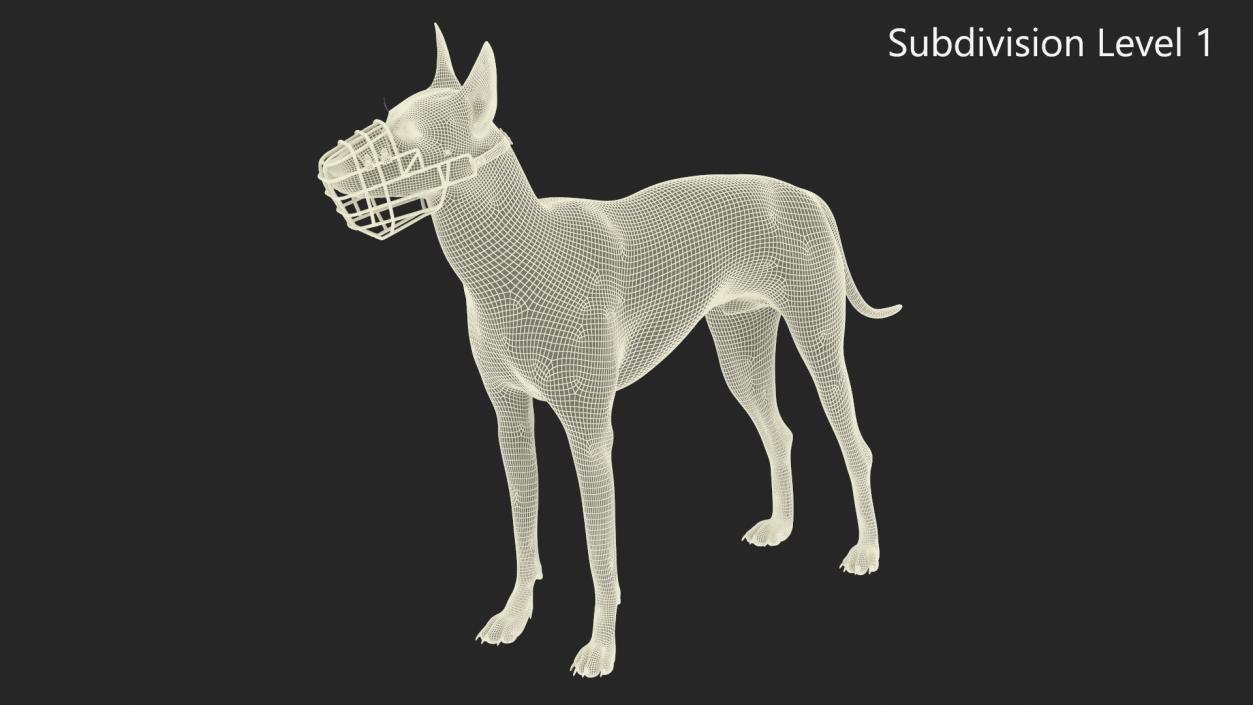 Xoloitzcuintli Rare Breed Mexican Dog with Muzzle 3D model