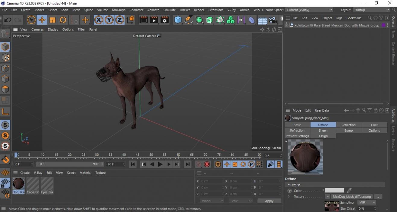 Xoloitzcuintli Rare Breed Mexican Dog with Muzzle 3D model