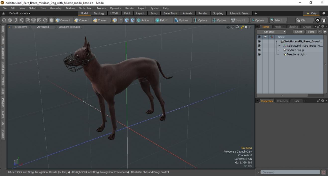 Xoloitzcuintli Rare Breed Mexican Dog with Muzzle 3D model