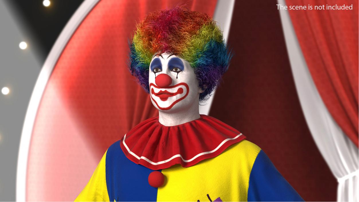 3D model Adult Clown Head Fur