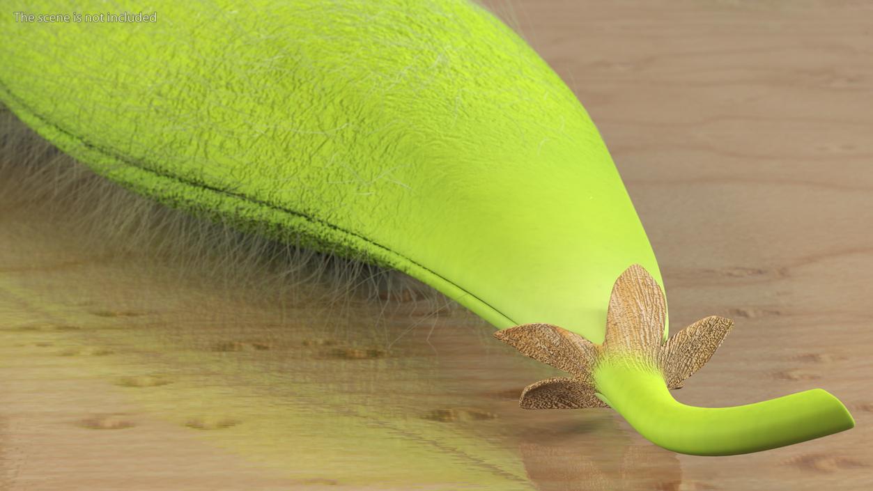 3D Green Soybean Pod Fur