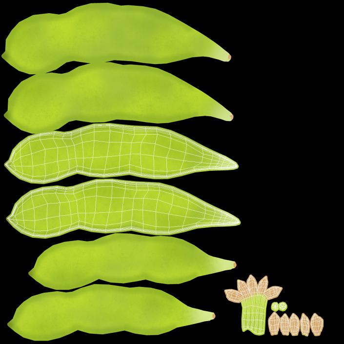 3D Green Soybean Pod Fur