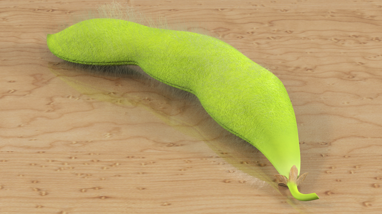 3D Green Soybean Pod Fur