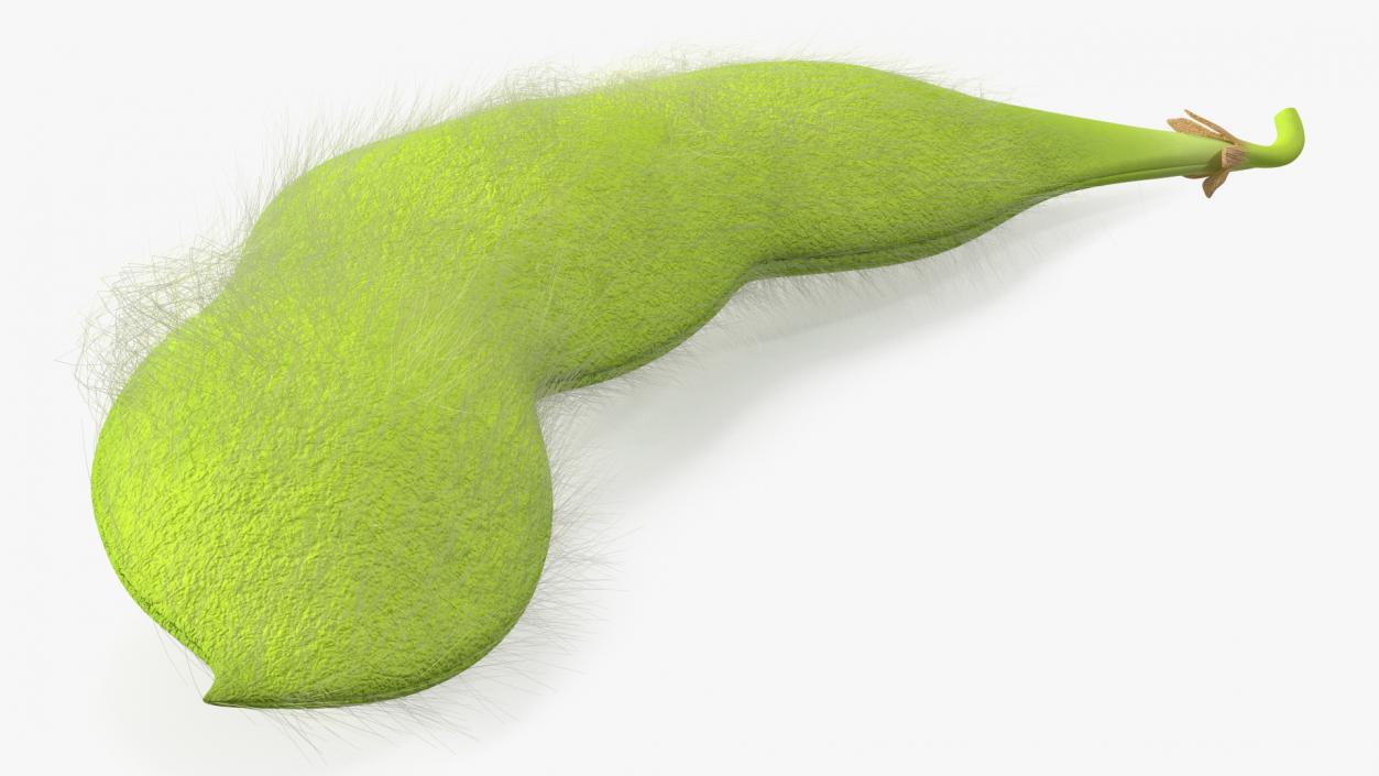 3D Green Soybean Pod Fur