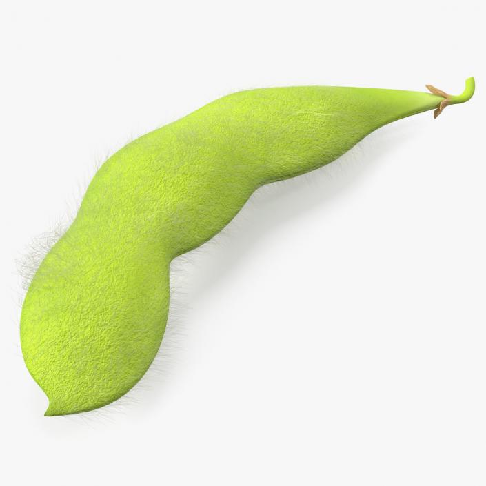 3D Green Soybean Pod Fur