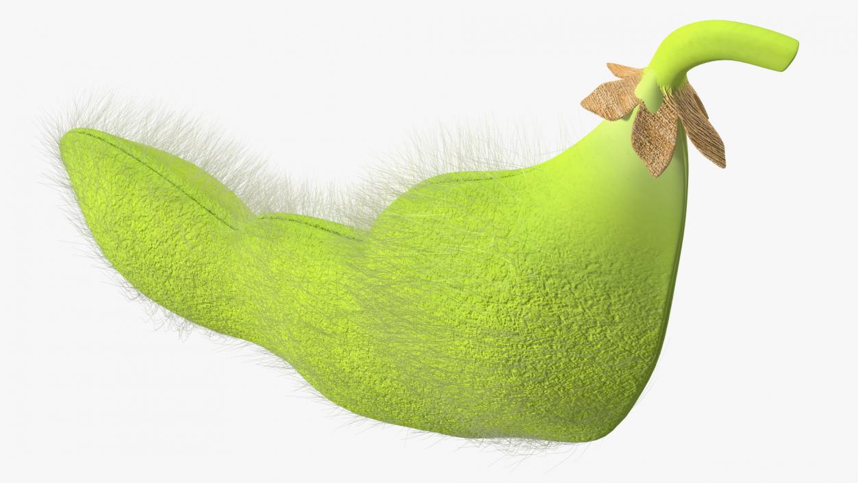 3D Green Soybean Pod Fur