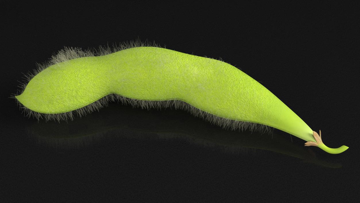 3D Green Soybean Pod Fur