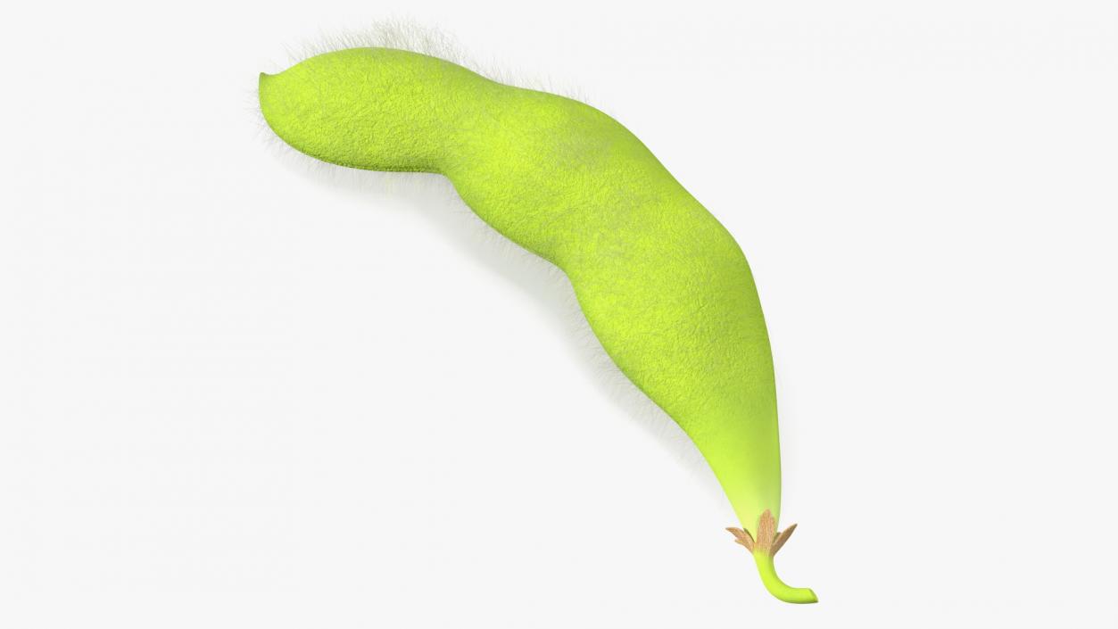 3D Green Soybean Pod Fur