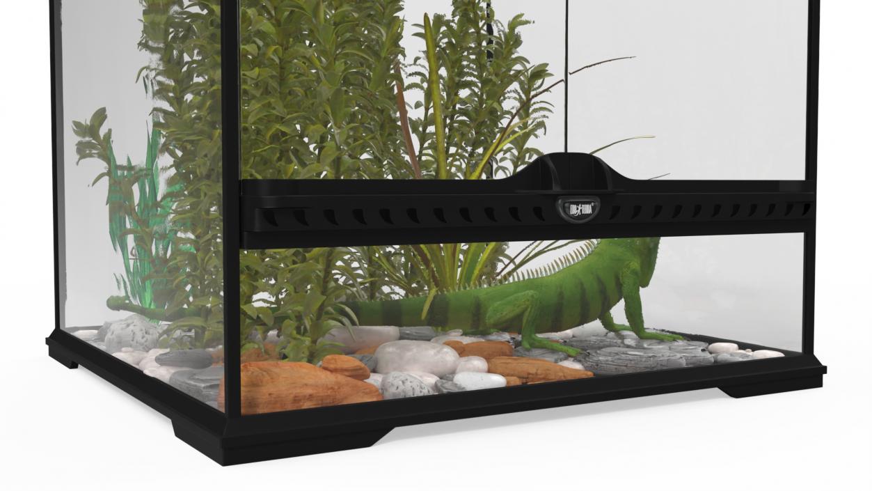 Tall Terrarium for Reptiles with Iguana 3D model