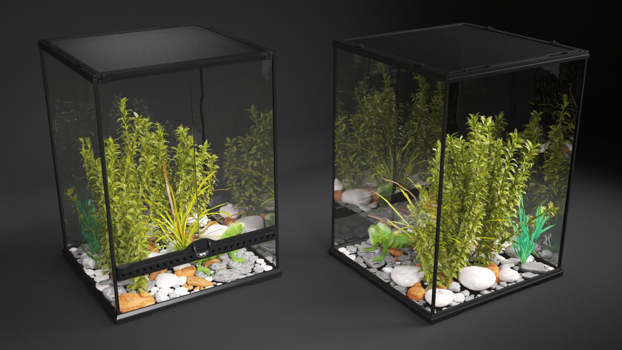 Tall Terrarium for Reptiles with Iguana 3D model