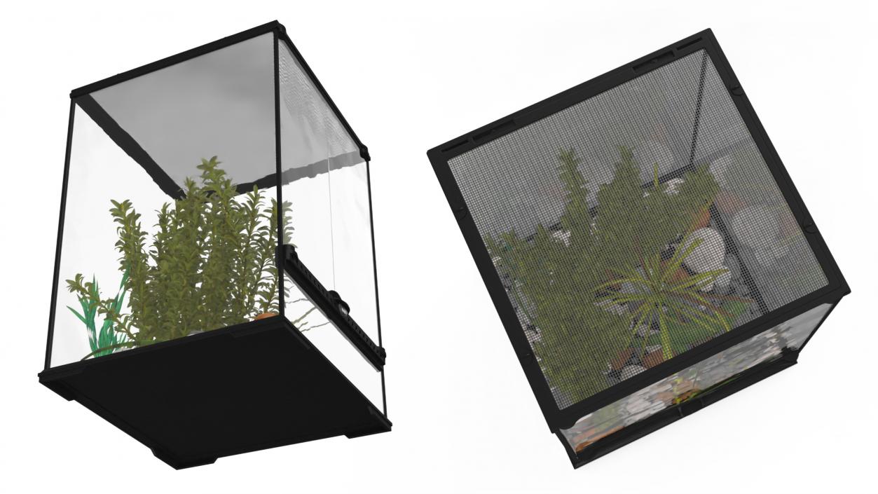 Tall Terrarium for Reptiles with Iguana 3D model