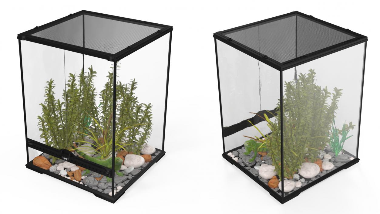 Tall Terrarium for Reptiles with Iguana 3D model