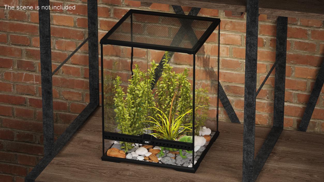 Tall Terrarium for Reptiles with Iguana 3D model