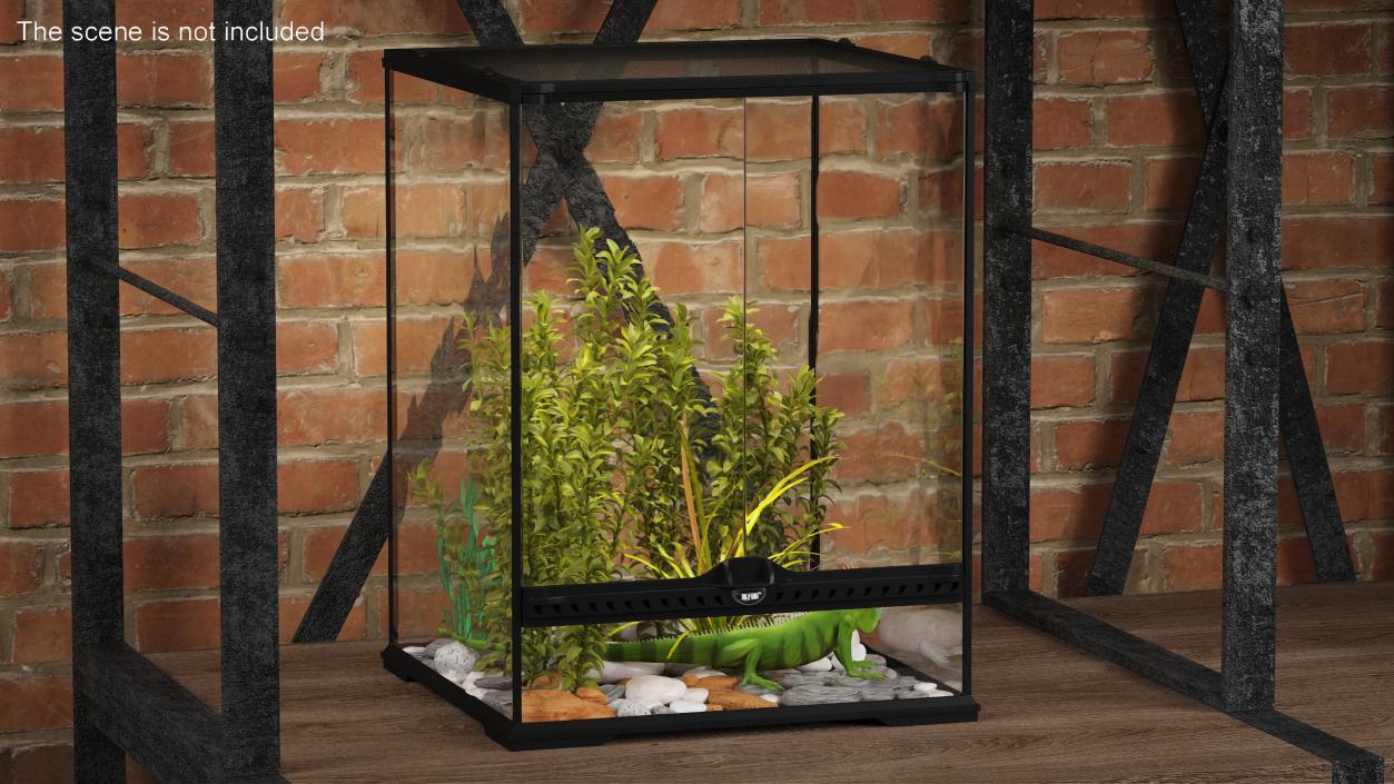 Tall Terrarium for Reptiles with Iguana 3D model