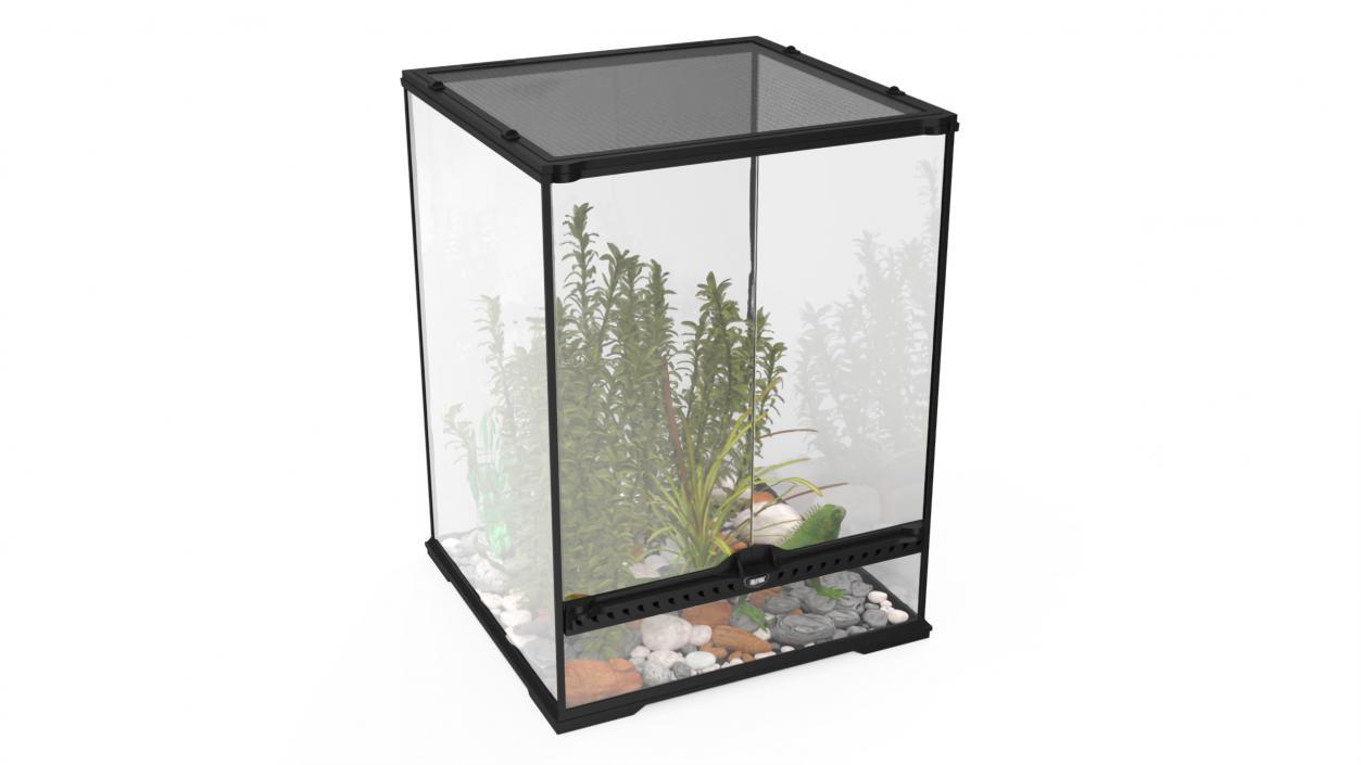 Tall Terrarium for Reptiles with Iguana 3D model