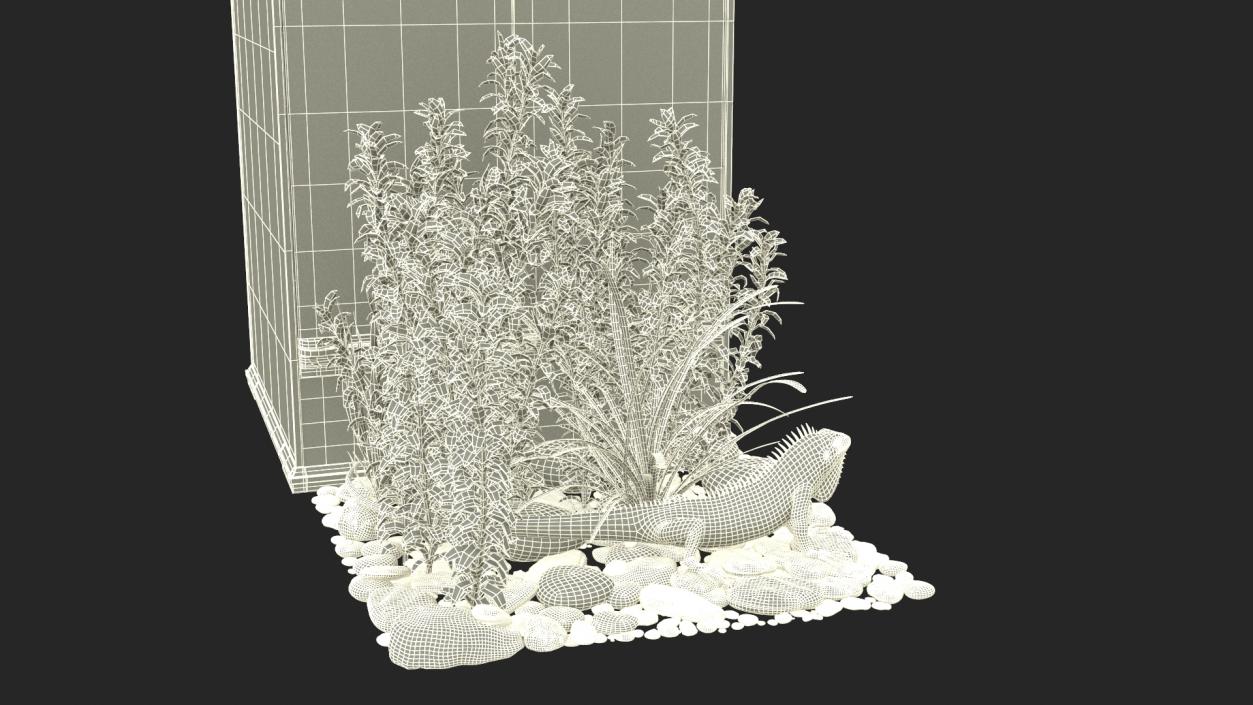 Tall Terrarium for Reptiles with Iguana 3D model