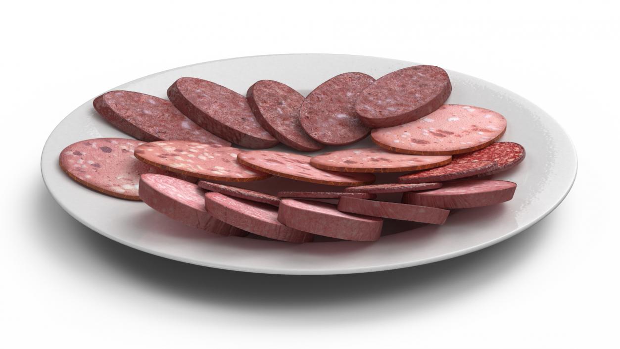 Assorted Deli Meats Platter 3D