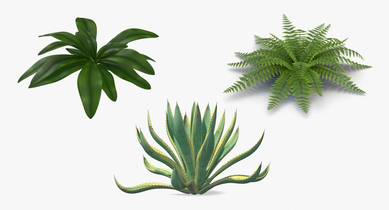 Plants Collection 3D