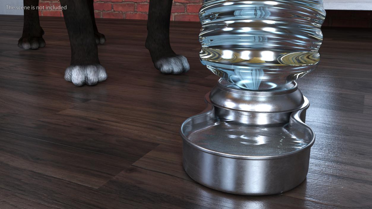 3D Pet Drinkers Collection model