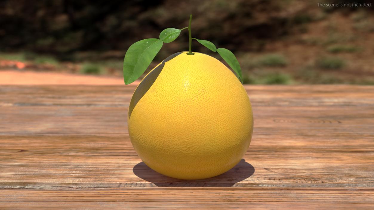 Pomelo Fruit Orange 3D model