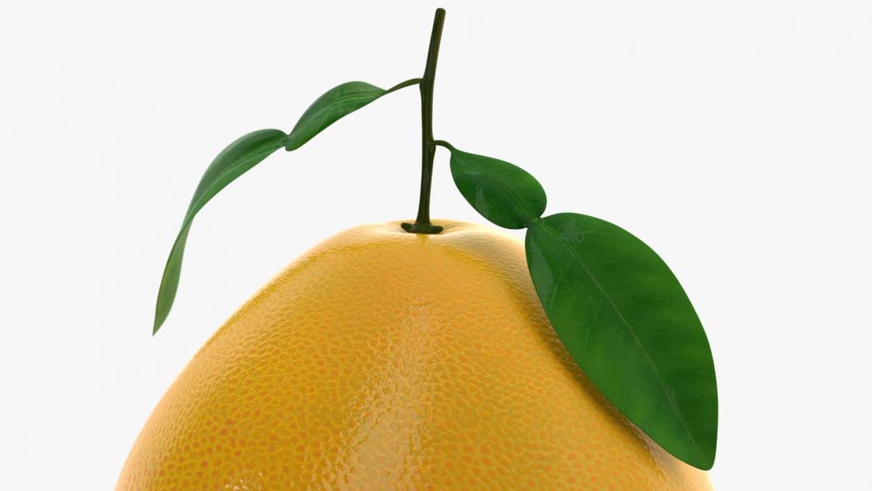 Pomelo Fruit Orange 3D model