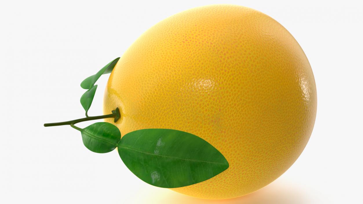 Pomelo Fruit Orange 3D model