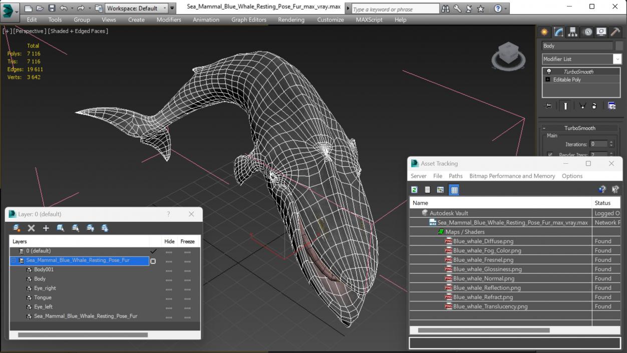 3D Sea Mammal Blue Whale Resting Pose Fur model