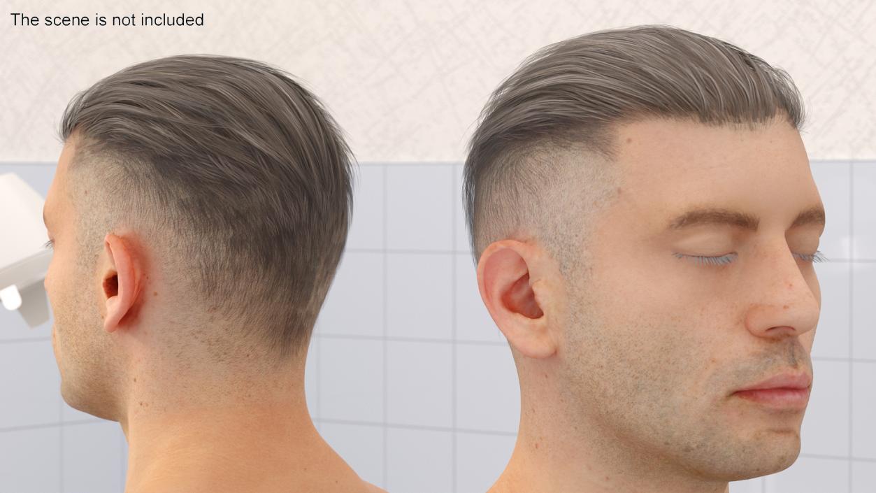 Male Head Realistic Anatomy 3D