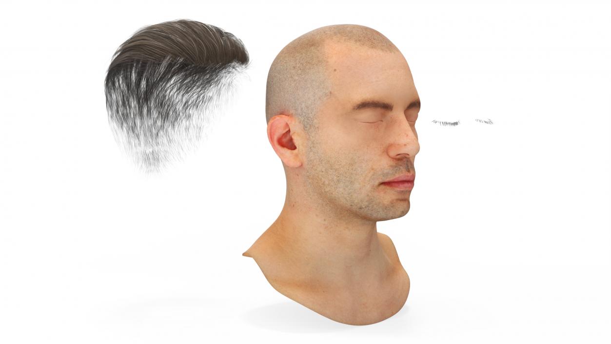 Male Head Realistic Anatomy 3D