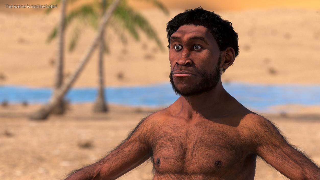 3D Homo Erectus Fur