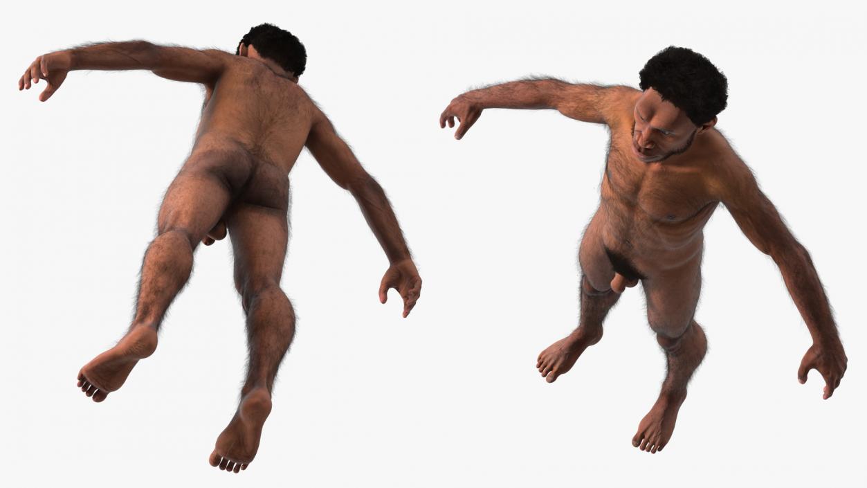 3D Homo Erectus Fur