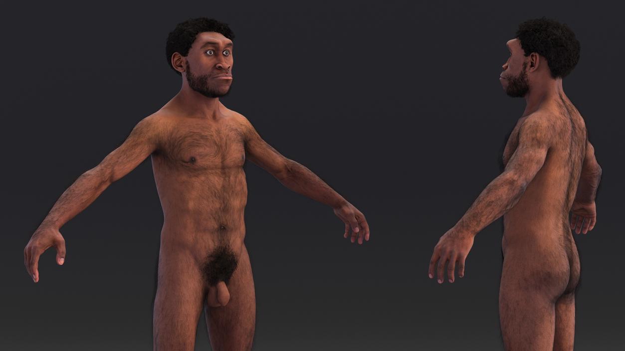 3D Homo Erectus Fur