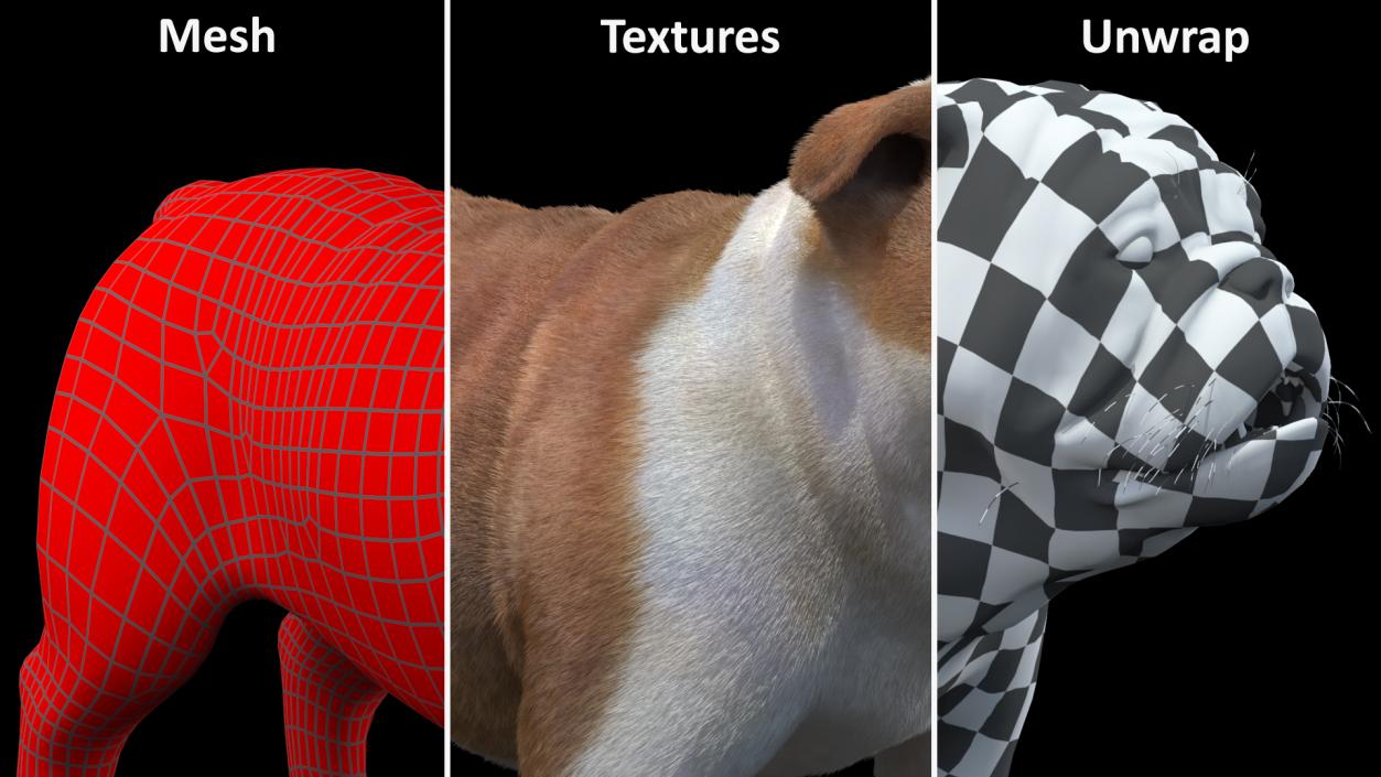 3D Bulldog Fur