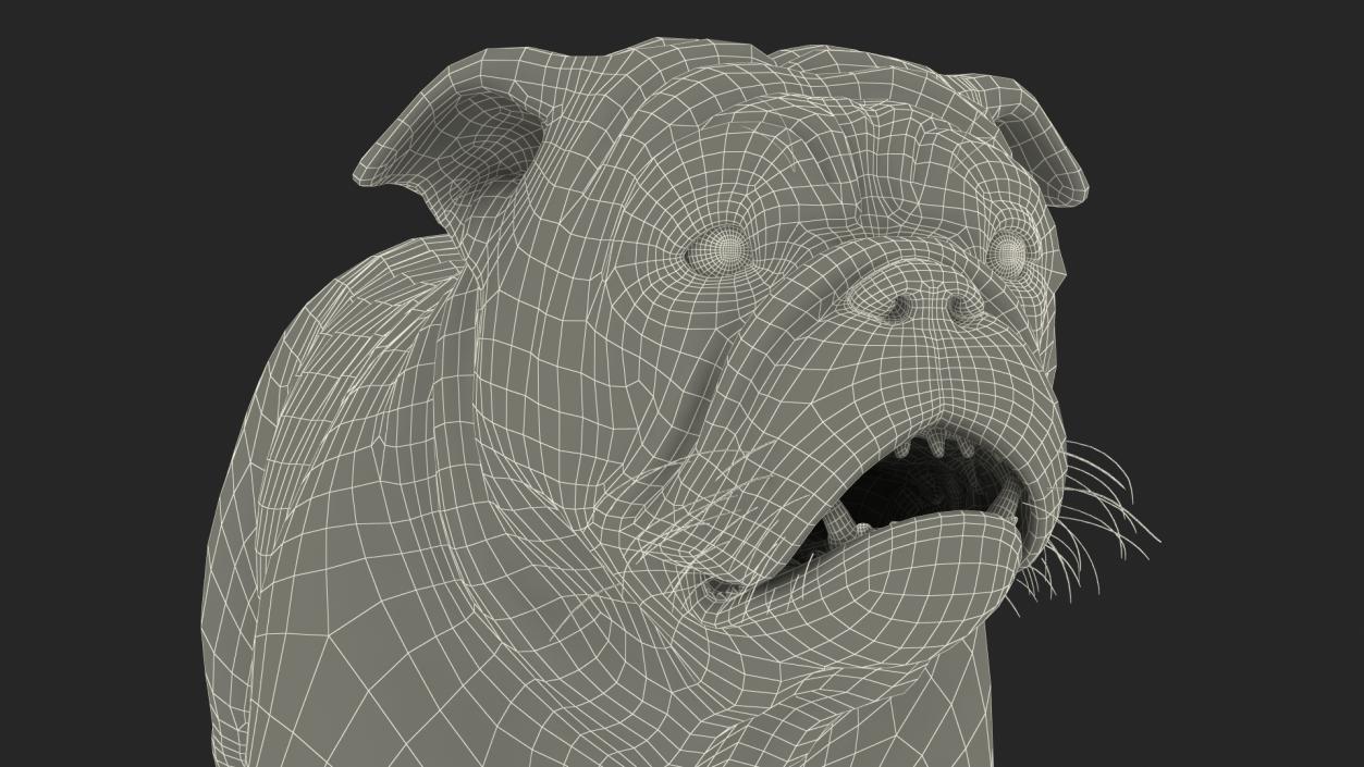 3D Bulldog Fur