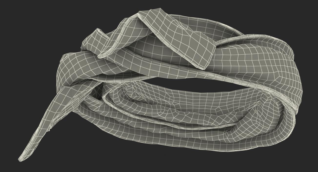 3D Colored Scarf model