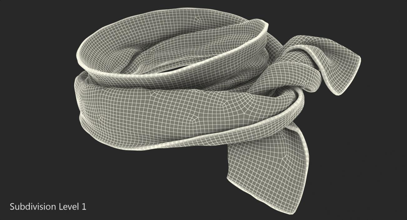 3D Colored Scarf model