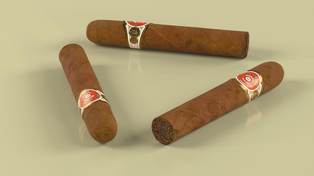 3D Punch Short De Punch Cigar 2 model