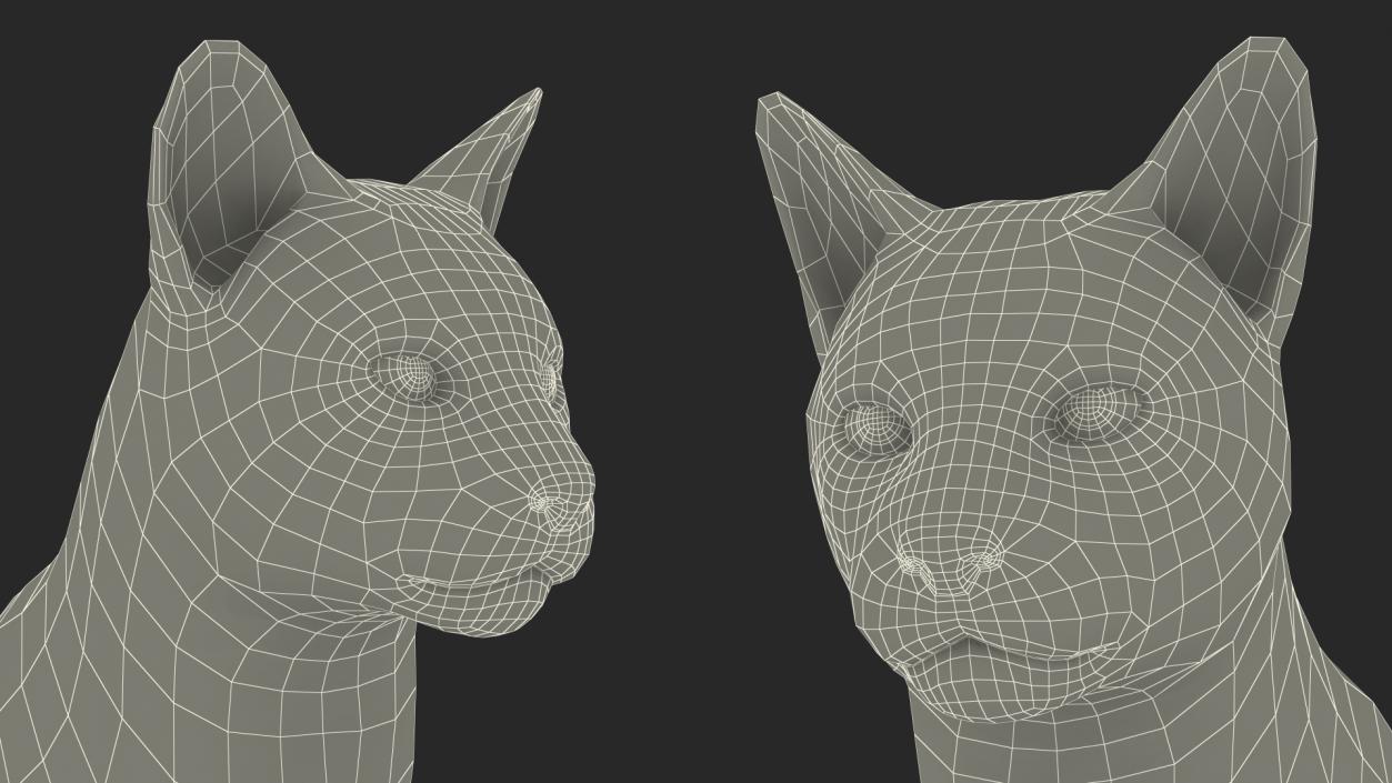 Lynx Rufus Sitting Fur 3D