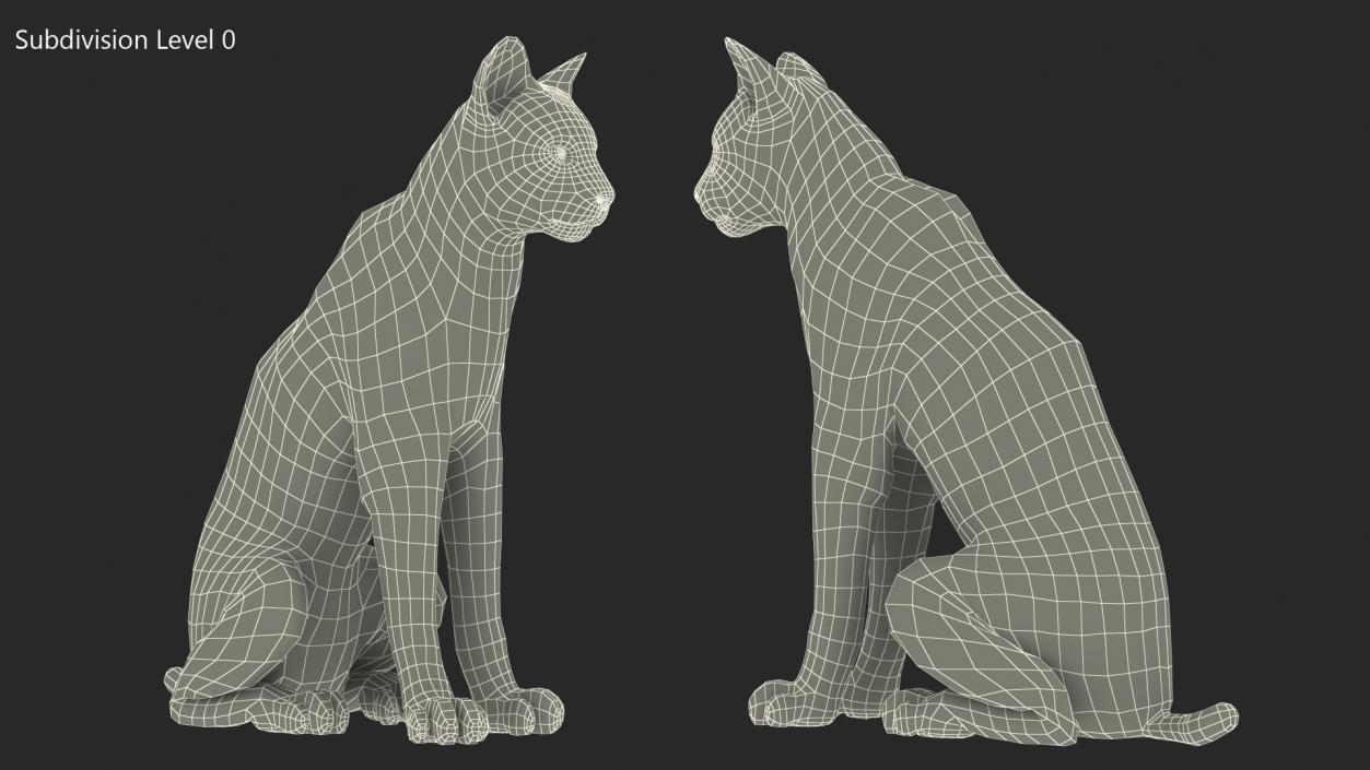 Lynx Rufus Sitting Fur 3D