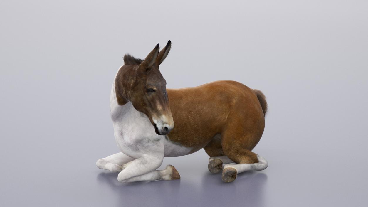 3D model Mule Fur Rigged