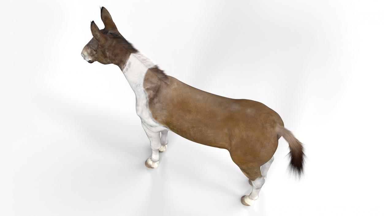 3D model Mule Fur Rigged